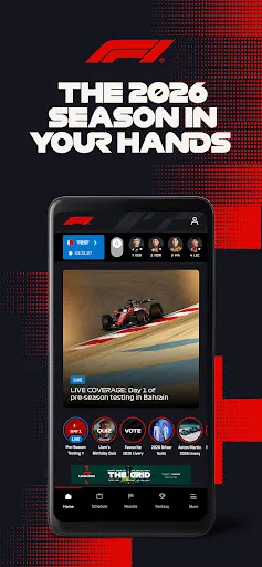 Formula 1® screenshot