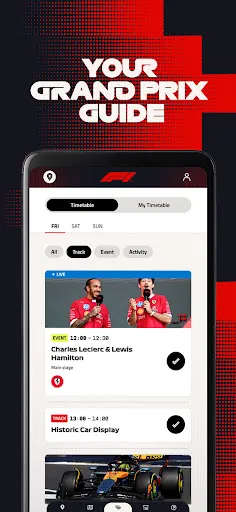 Formula 1® screenshot