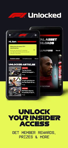 Formula 1® screenshot