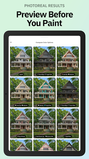 Repaint House Paint Visualizer screenshot