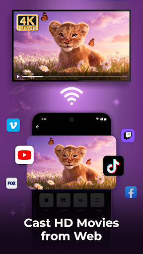 Cast to TV - Screen Mirroring screenshot