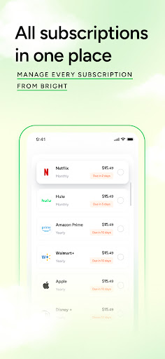 Bright: Loans & Credit Builder screenshot