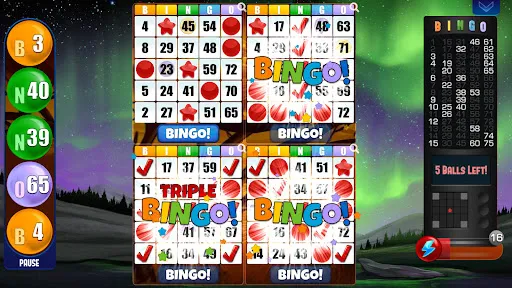 Absolute Bingo screenshot