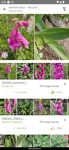 PlantNet Plant Identification screenshot