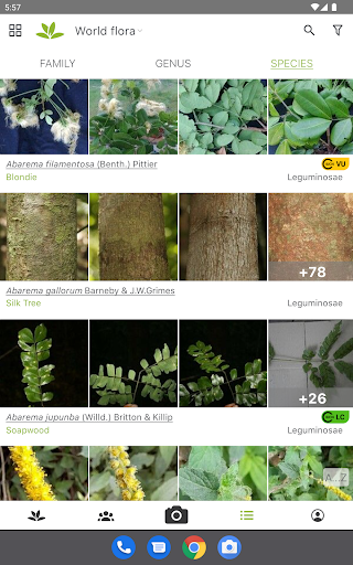 PlantNet Plant Identification screenshot