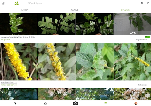 PlantNet Plant Identification screenshot
