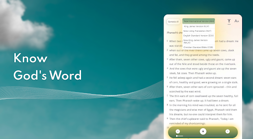 Bible Chat: Holy Bible Study screenshot