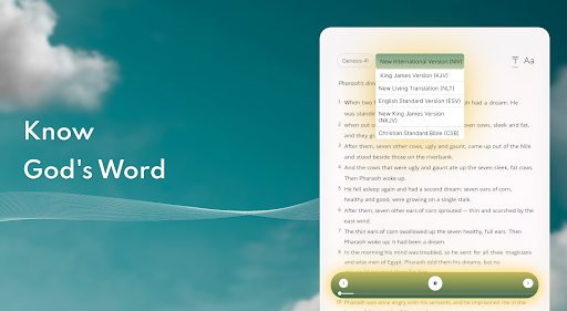 Bible Chat: Holy Bible Study screenshot