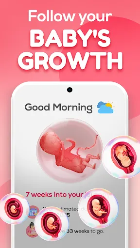 Track pregnancy & baby growth screenshot