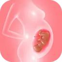 Track pregnancy & baby growth