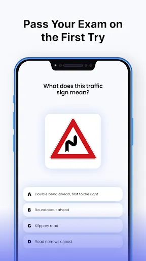 Driving Instructor: Road Test screenshot