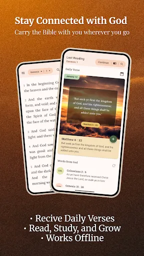 King James Bible (KJV) screenshot