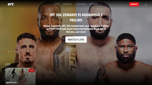 UFC screenshot