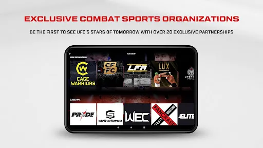 UFC screenshot