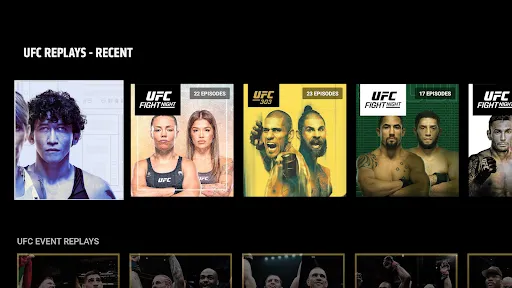 UFC screenshot