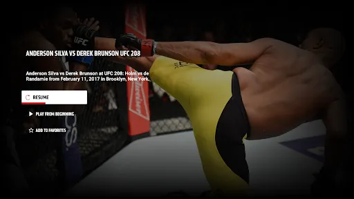 UFC screenshot