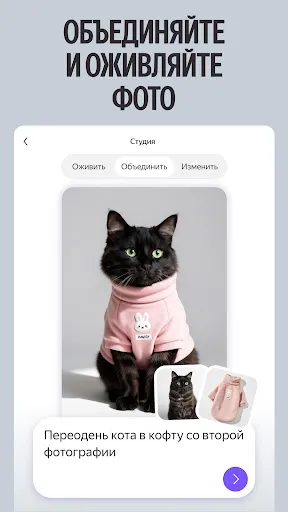 Alice AI screenshot