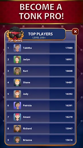 Tonk Star Classic Card Game screenshot