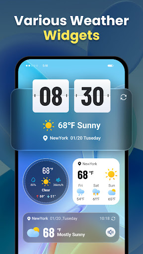 Live Weather: Daily Forecast screenshot