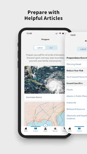 FEMA screenshot