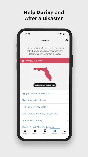 FEMA screenshot