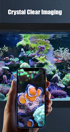 Endoscope Camera screenshot