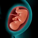Astha Pregnancy