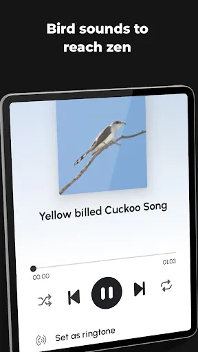 Ringtones for Android™ screenshot