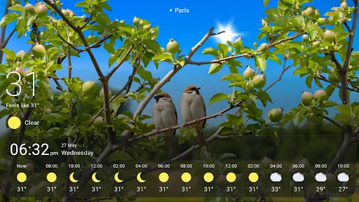 Weather Live Wallpapers screenshot
