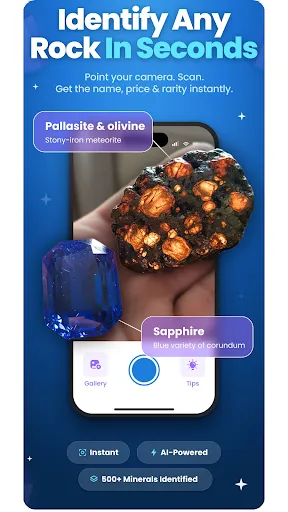RockIn Rock&Meteorite Identify screenshot