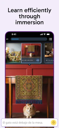 Rosetta Stone Sapphire screenshot
