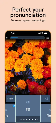 Rosetta Stone Sapphire screenshot
