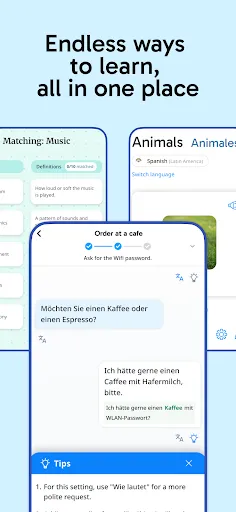 Rosetta Stone Sapphire screenshot
