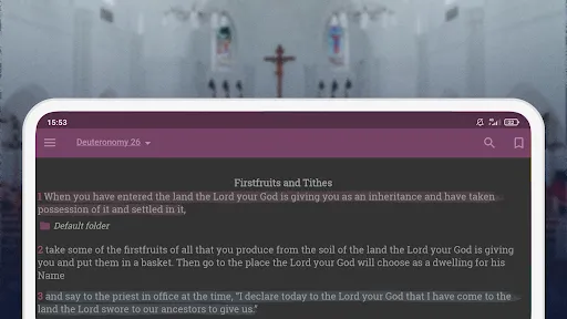 NKJV - New King James Version screenshot