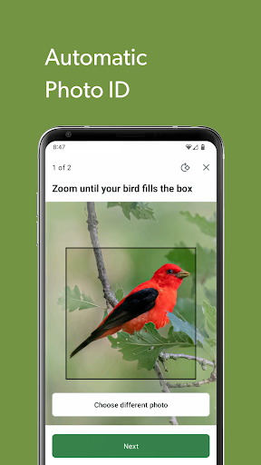 Merlin Bird ID by Cornell Lab screenshot