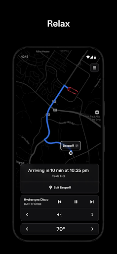 Tesla Robotaxi screenshot