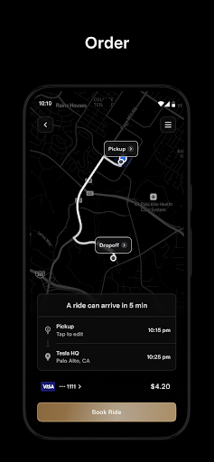 Tesla Robotaxi screenshot