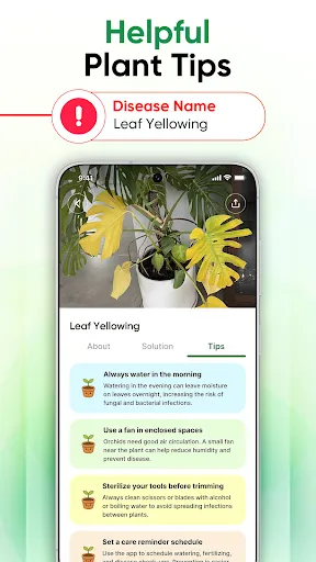 Plant Identifier - Scan & Care screenshot