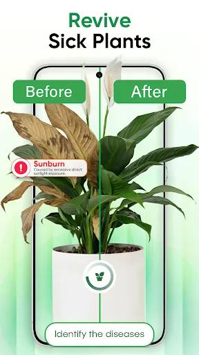 Plant Identifier - Scan & Care screenshot