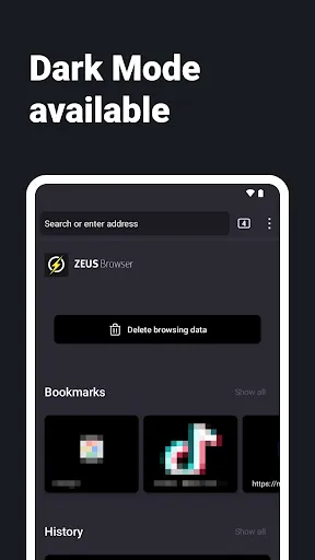 Internet Web Browser - ZEUS screenshot