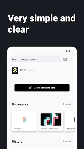 Internet Web Browser - ZEUS screenshot