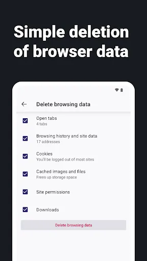 Internet Web Browser - ZEUS screenshot