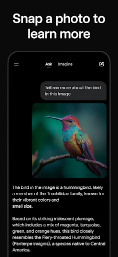 Grok - AI Chat & Video screenshot