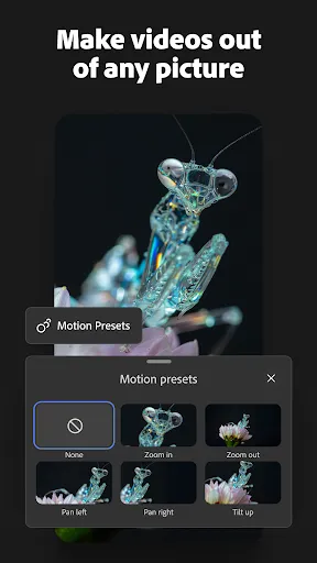 Adobe Firefly: AI Generator screenshot