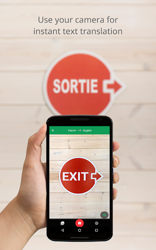 Google Translate screenshot