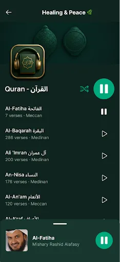 Quran Player Audio Offline screenshot