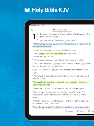 Holy Bible King James + Audio screenshot