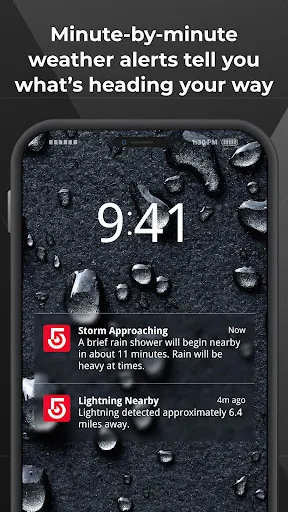 WCVB Newscenter 5 - Boston screenshot
