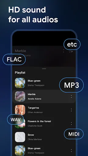 Weezer Player-PureListen screenshot