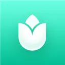 PlantIn Plant Identifier, Care